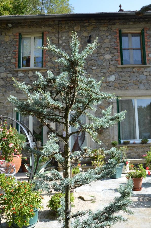 Studio Malou, Cuisine, Salle D'Eau, Terrasse Amenagee Olliergues Екстериор снимка