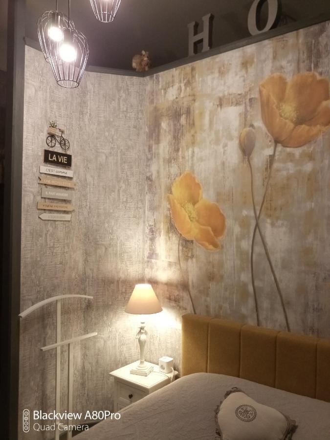 Studio Malou, Cuisine, Salle D'Eau, Terrasse Amenagee Olliergues Екстериор снимка