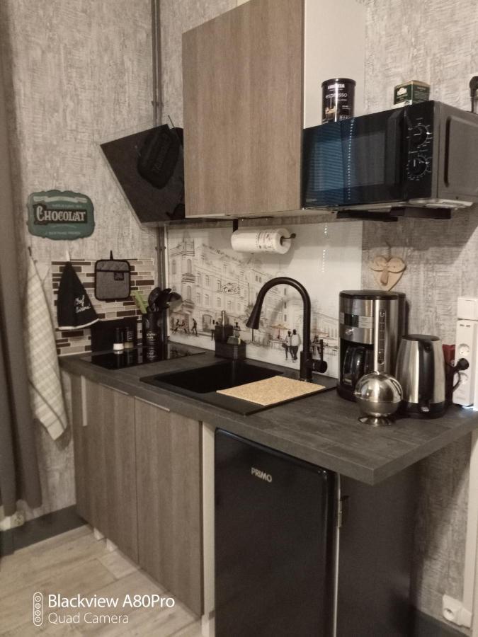 Studio Malou, Cuisine, Salle D'Eau, Terrasse Amenagee Olliergues Екстериор снимка