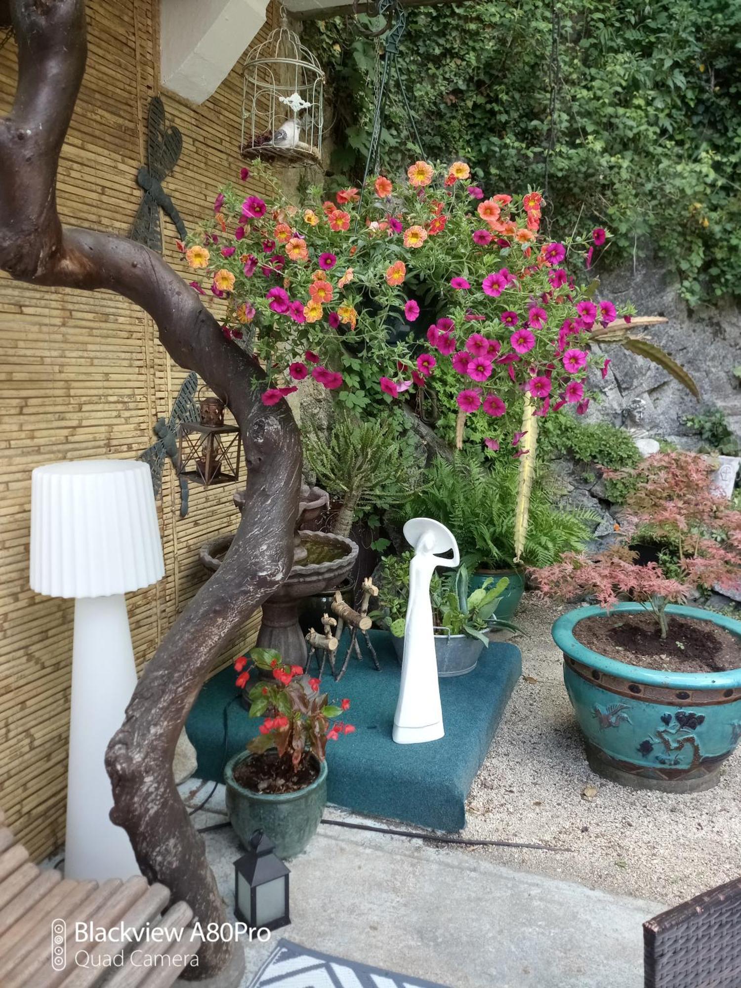 Studio Malou, Cuisine, Salle D'Eau, Terrasse Amenagee Olliergues Екстериор снимка
