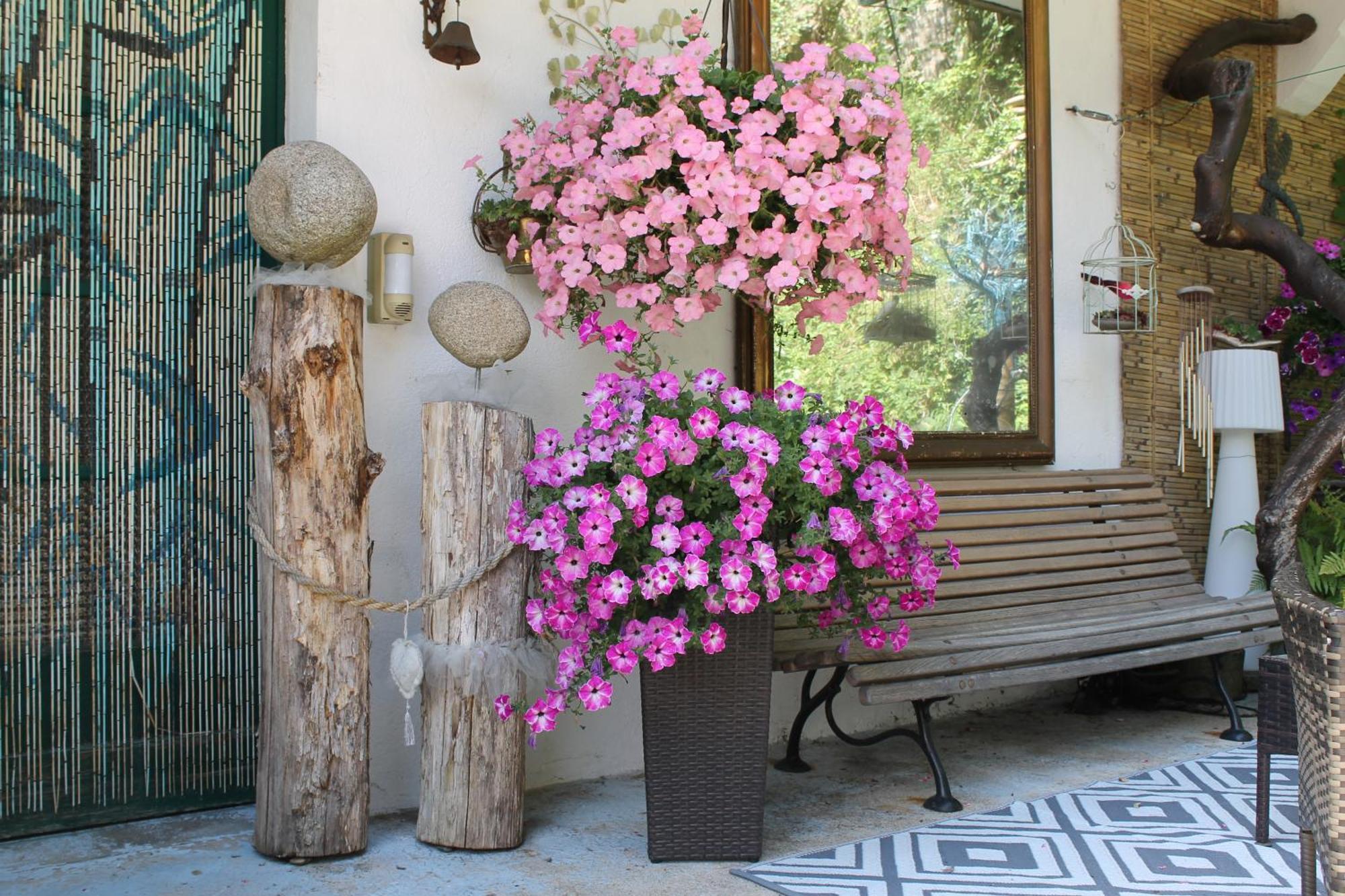 Studio Malou, Cuisine, Salle D'Eau, Terrasse Amenagee Olliergues Екстериор снимка